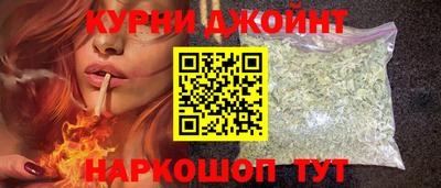 дмт Гатчина